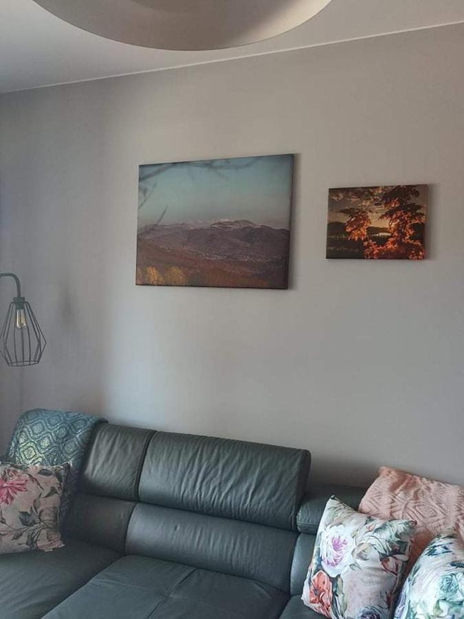 Lux Apartament Odkryj - Bieszczady Ustrzyki Dolne Exteriör bild